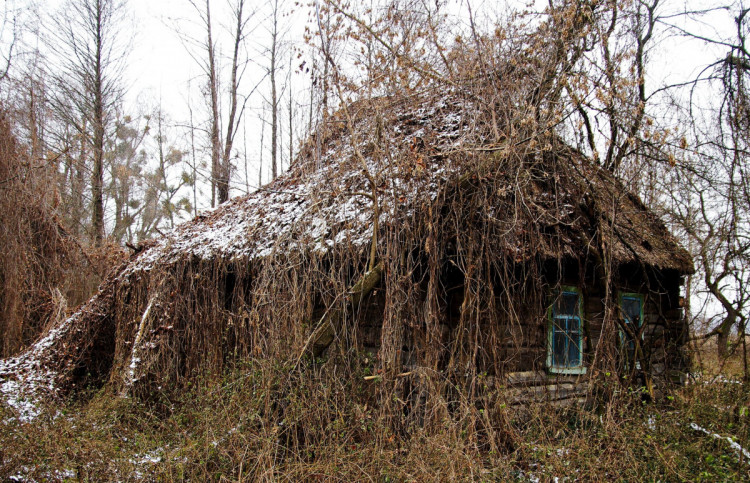 Покинута хата в Чорнобильській зоні