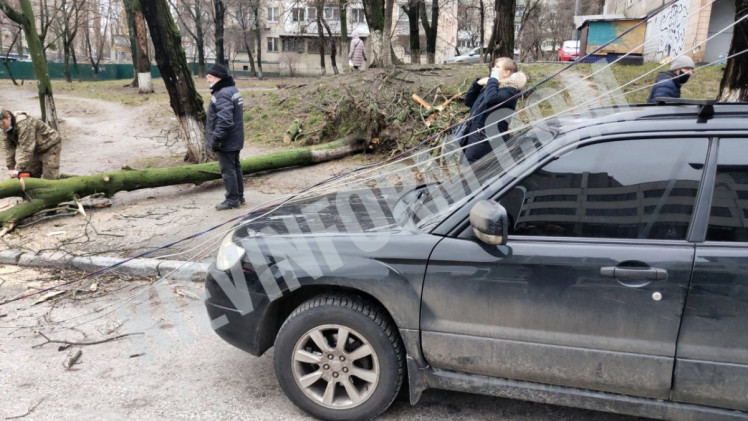 Впали стовп та дерево, Київ