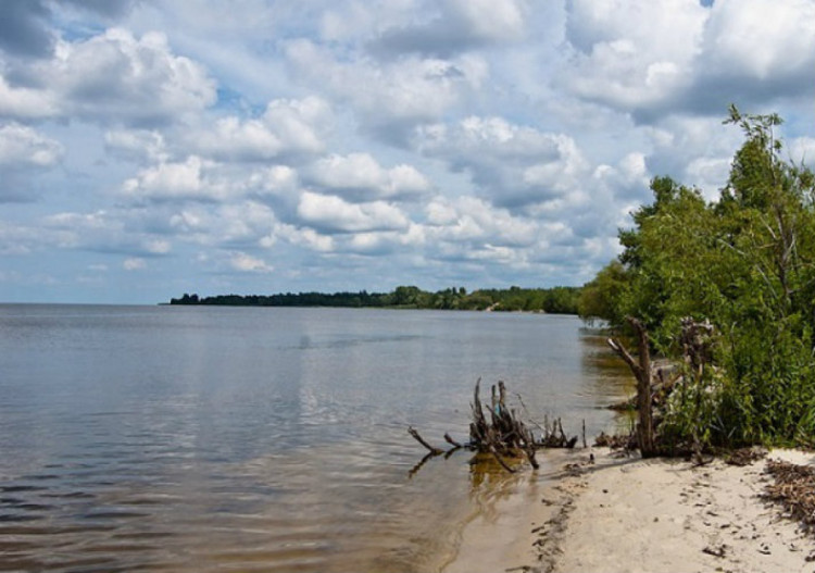 Узбережжя Київського моря в Лютіжі