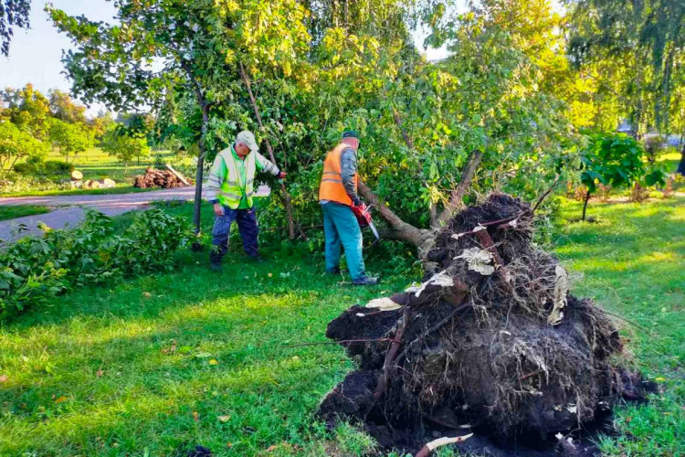 Последствия непогоды в Киеве