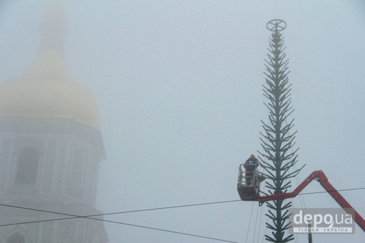 встановлення ялинки у столиці