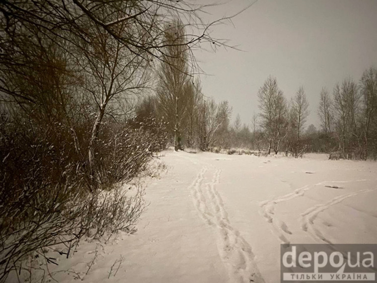 Снег в Киеве – Как выглядит экопарк Осокорки 