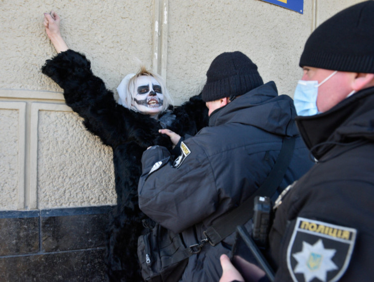 Полицейские и активистка Femen